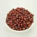 2017crop Adzuki haricot petit haricot rouge 4.5mm-6.0mm nom scientifique de haricots